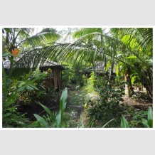 ajurweda w Kadappuram