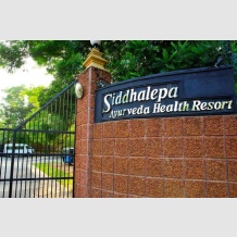 Siddhalepa Ayurveda Health Resort