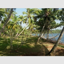 Sarovaram