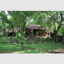 Sarovaram