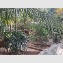 Sarovaram