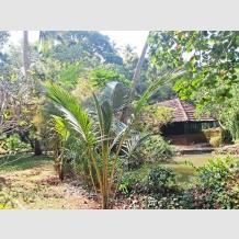 Sarovaram