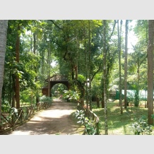 Ayurvedamana